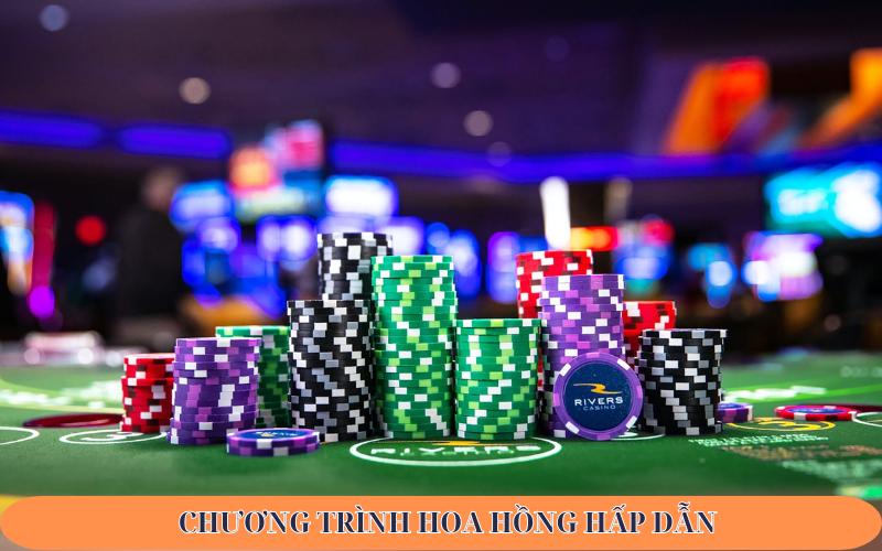 Chương trình hoa hồng hấp dẫn